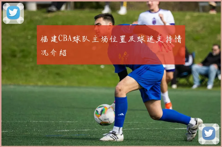 福建CBA球队主场位置及球迷支持情况介绍