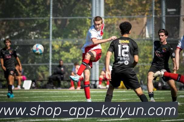 开云app平台生态图