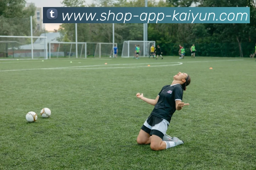 多媒体互动体验